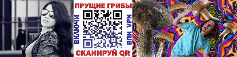 Галлюциногенные грибы MAGIC MUSHROOMS  hydra как зайти  Сызрань 