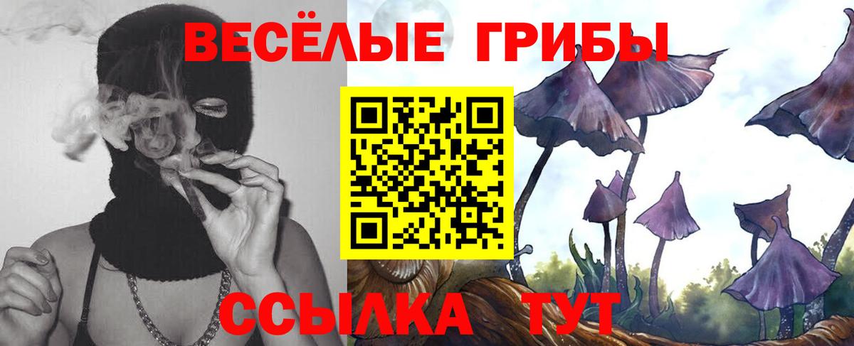 Сызрань  Галлюциногенные грибы Cubensis  где можно купить наркотик  Вход с VPN 